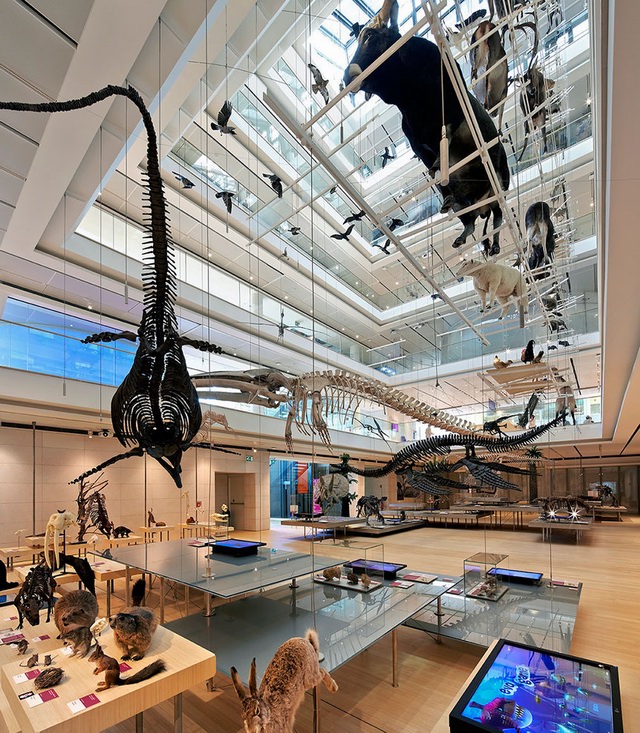 MUSEѧ MUSE Science Museum by RENZO PIANO BU